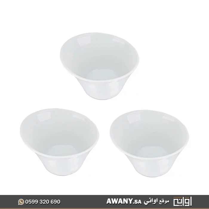 بوادي حجم ميني